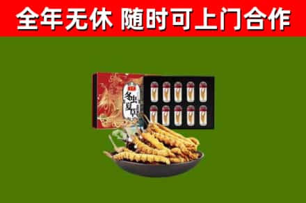 连云港烟酒回收冬虫夏草礼盒.jpg